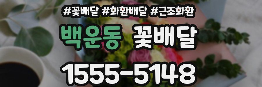 백운동 꽃배달