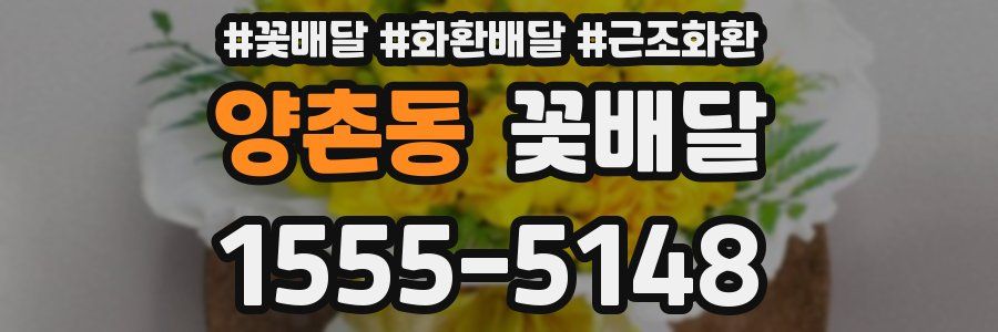 양촌동 꽃배달