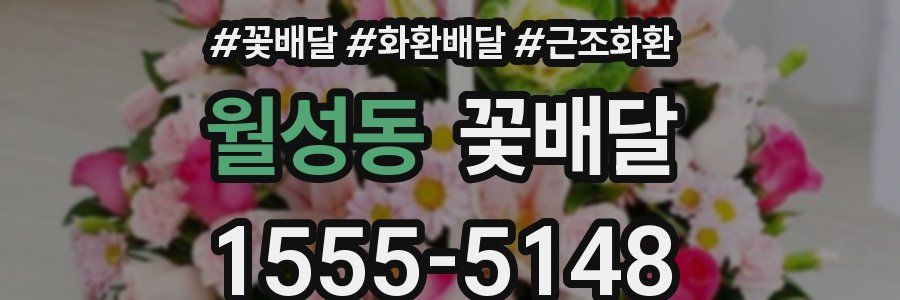 월성동 꽃배달