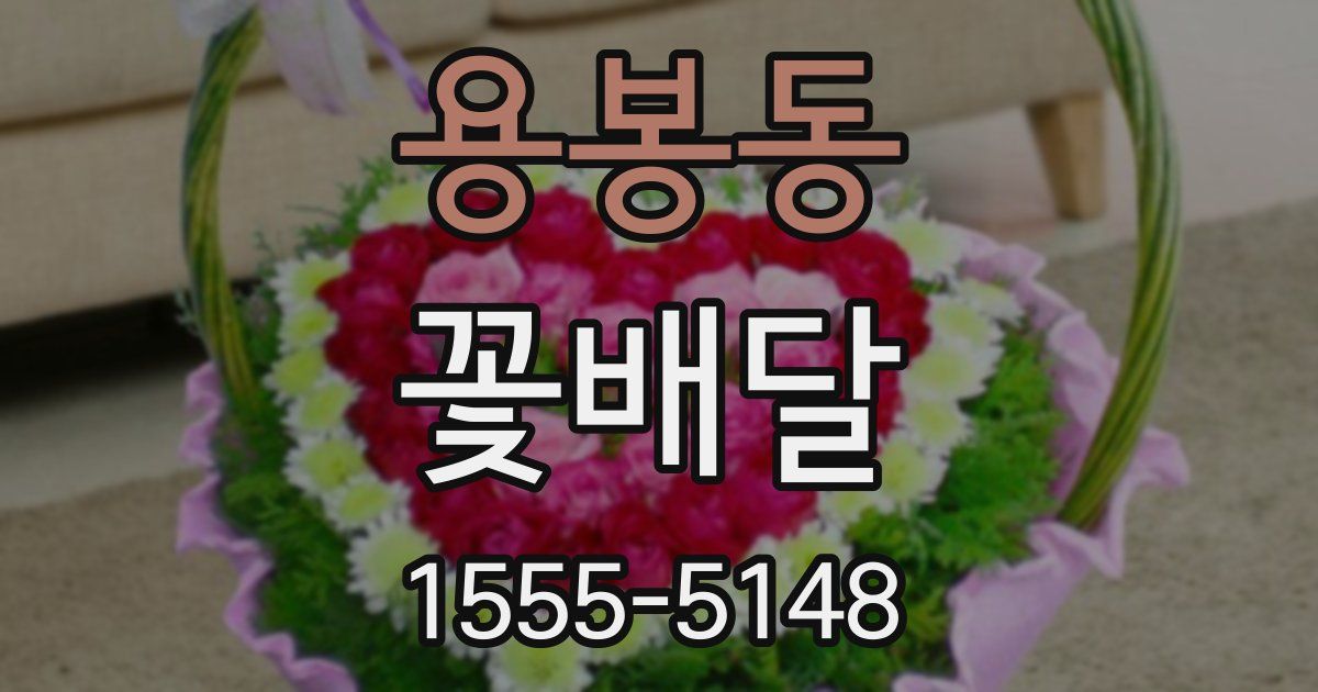용봉동 꽃배달