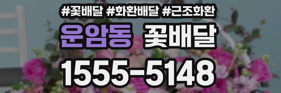 운암동 꽃배달