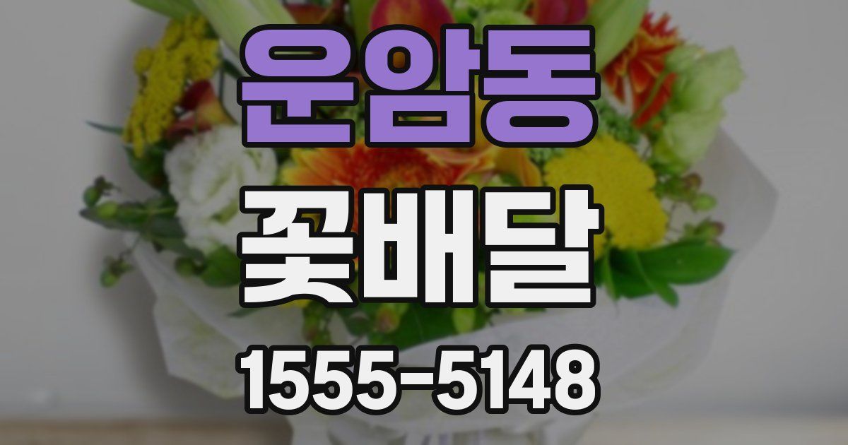 운암동 꽃배달