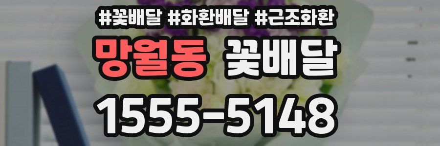 망월동 꽃배달