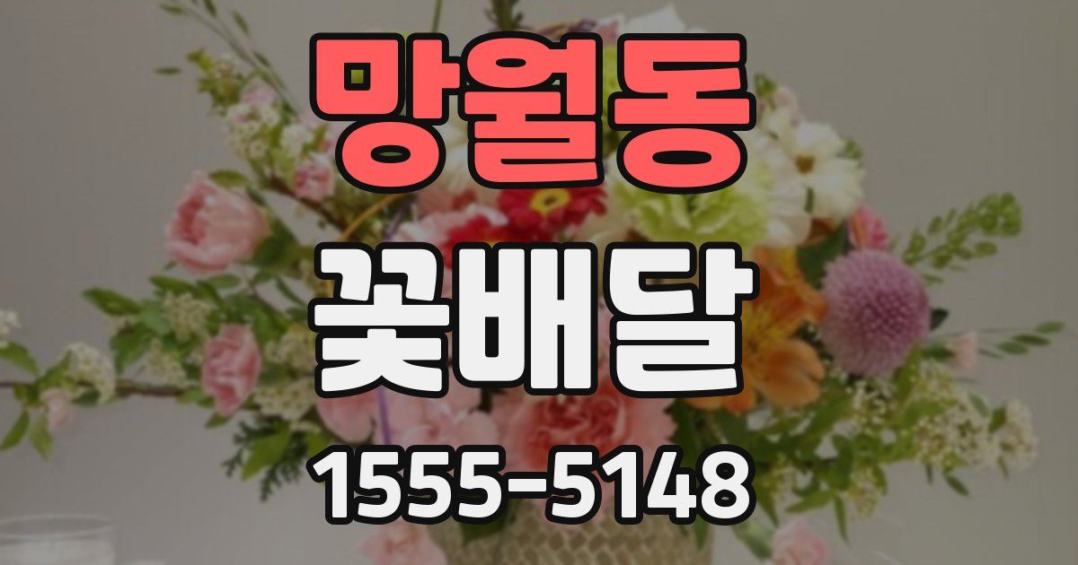 망월동 꽃배달