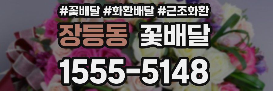 장등동 꽃배달
