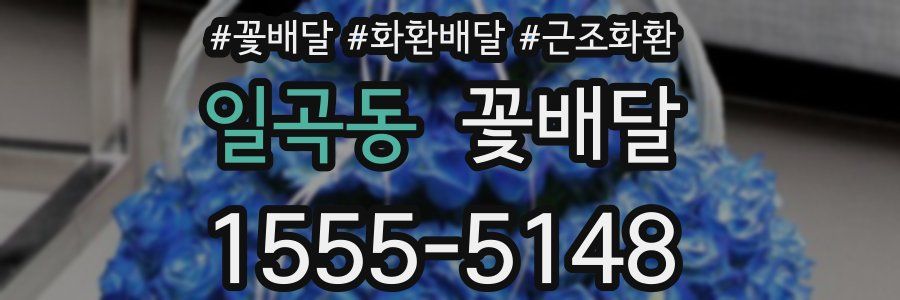 일곡동 꽃배달