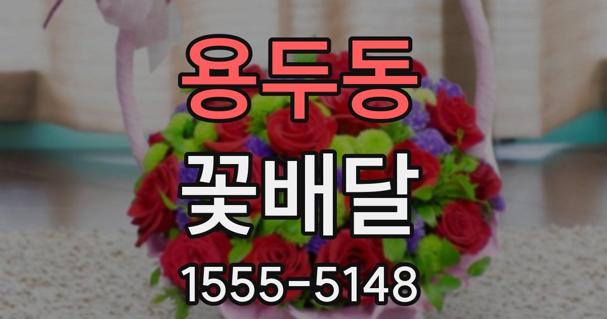 용두동 꽃배달