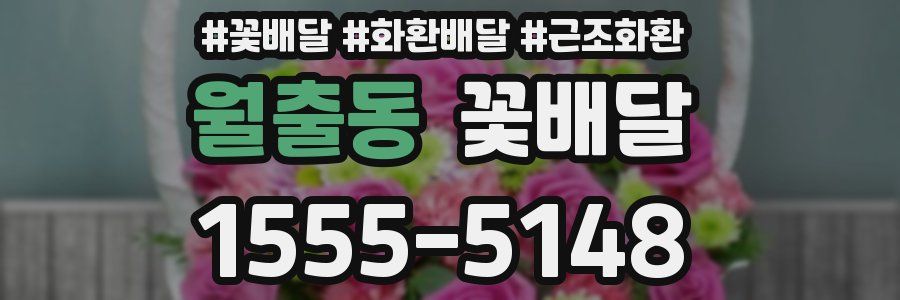 월출동 꽃배달