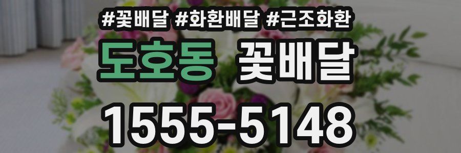 도호동 꽃배달