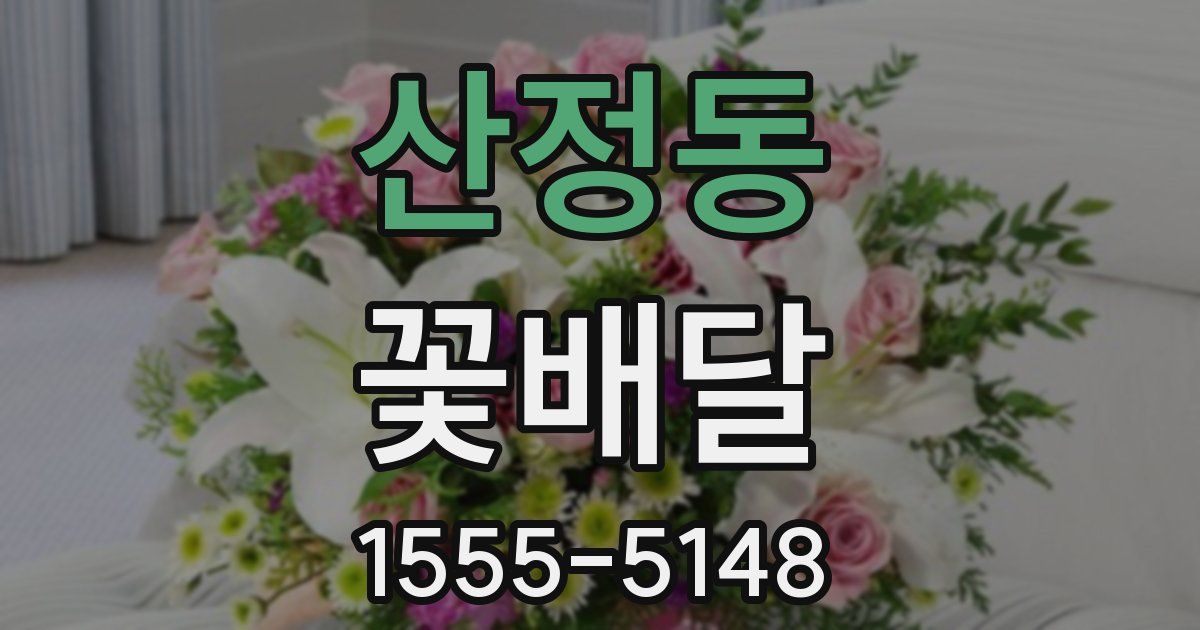 산정동 꽃배달