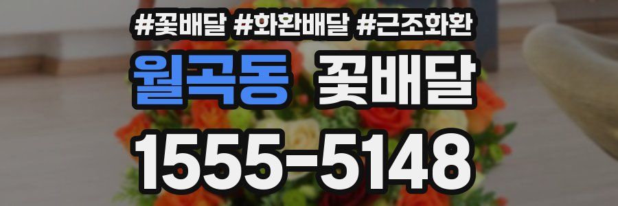 월곡동 꽃배달