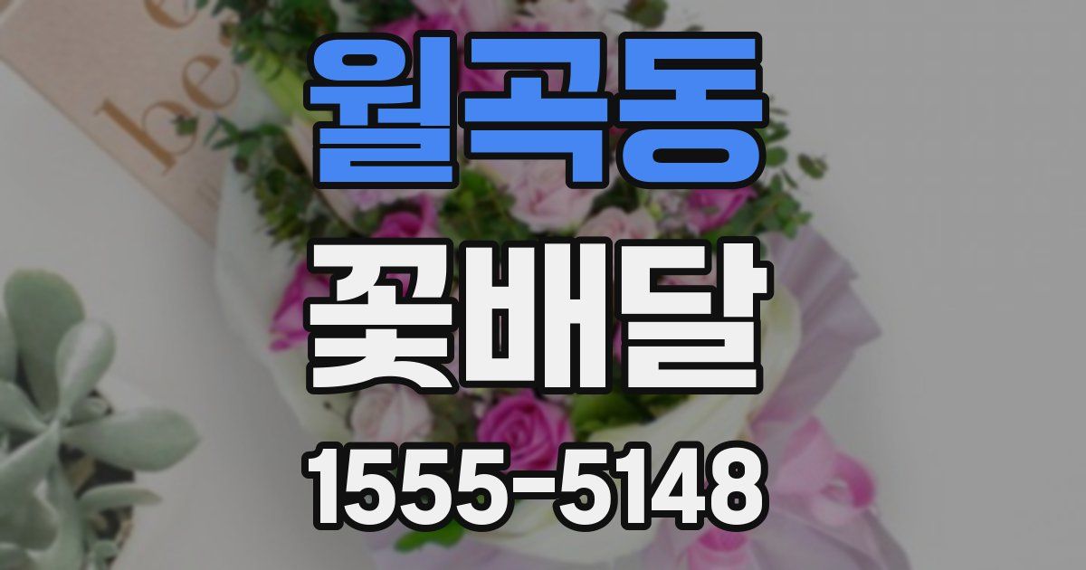 월곡동 꽃배달
