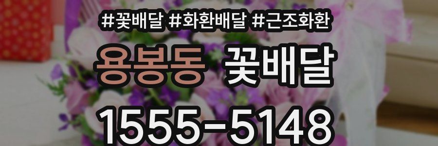 용봉동 꽃배달