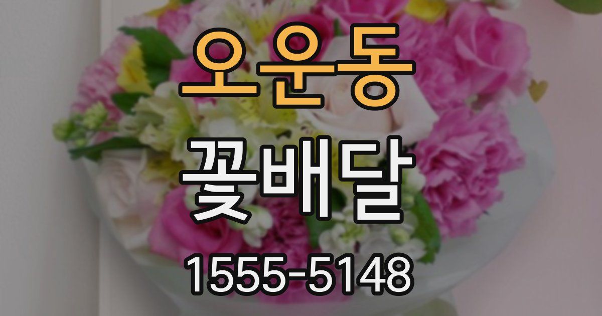 오운동 꽃배달