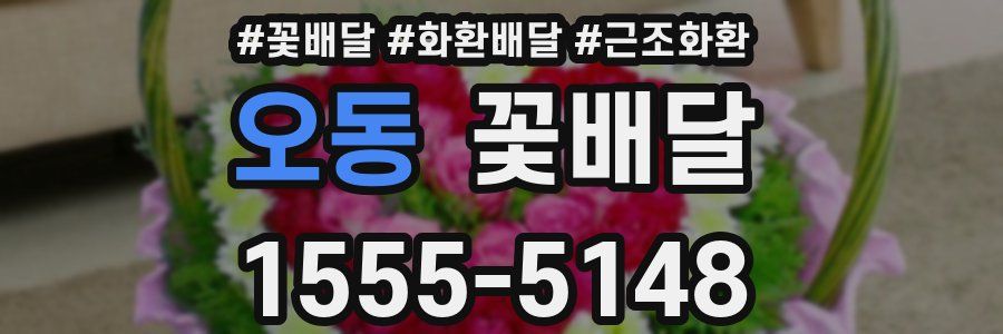 오동 꽃배달
