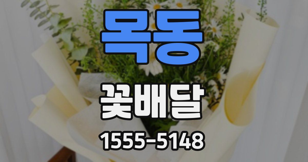 목동 꽃배달