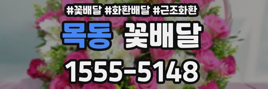 목동 꽃배달