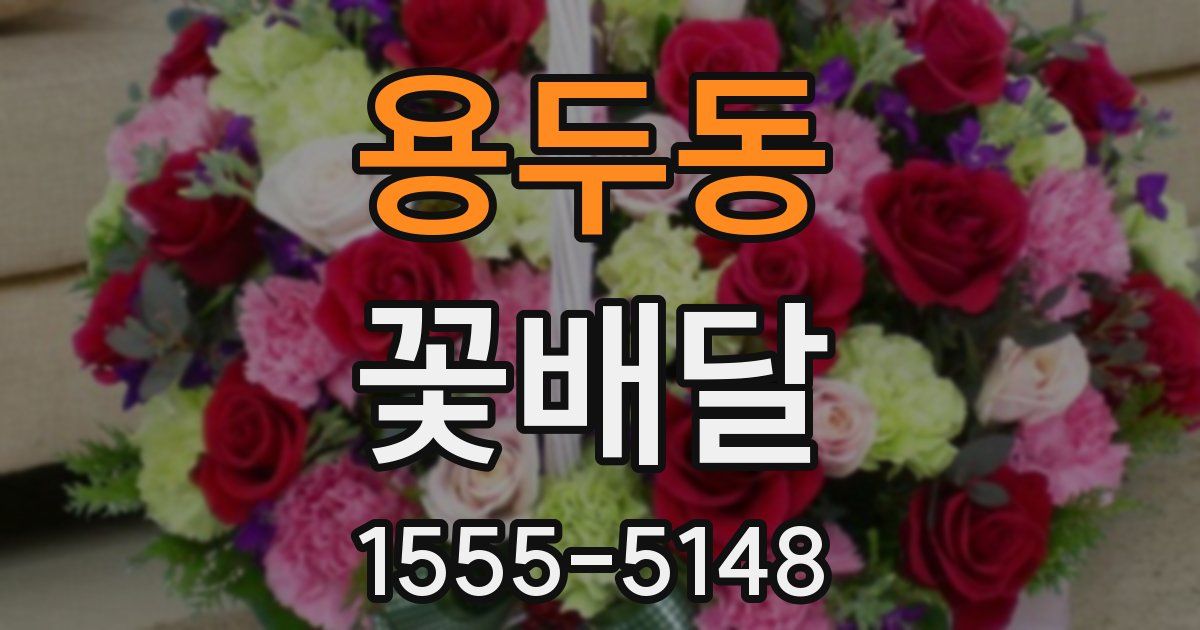 용두동 꽃배달