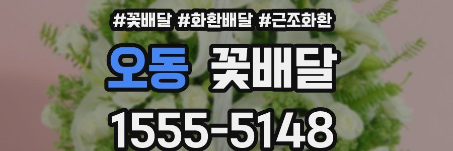 오동 꽃배달