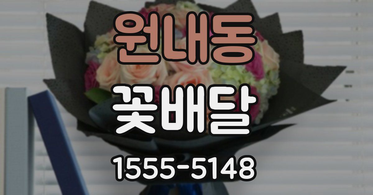원내동 꽃배달