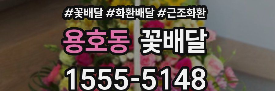 용호동 꽃배달