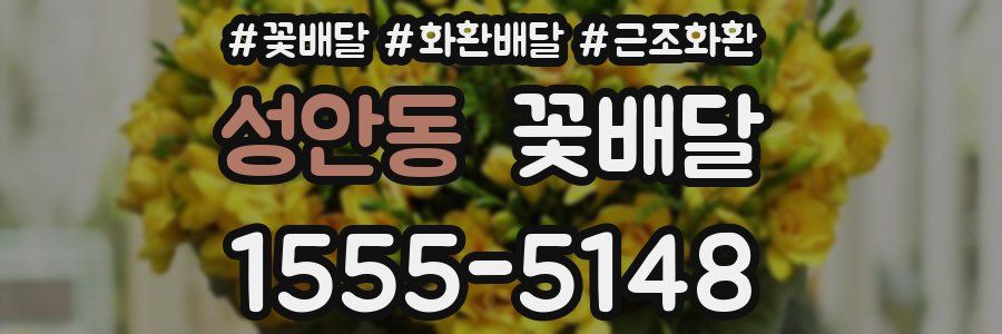 성안동 꽃배달