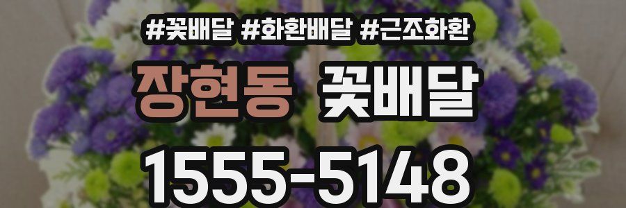장현동 꽃배달