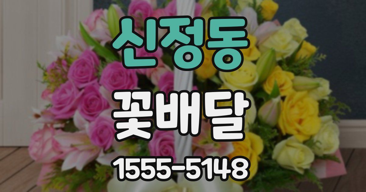 신정동 꽃배달