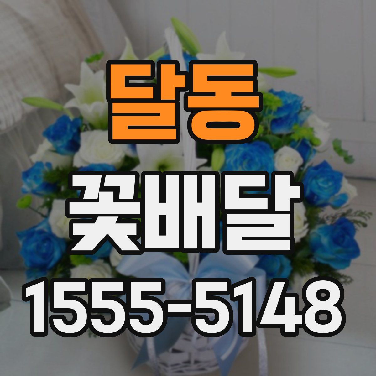 달동 꽃배달