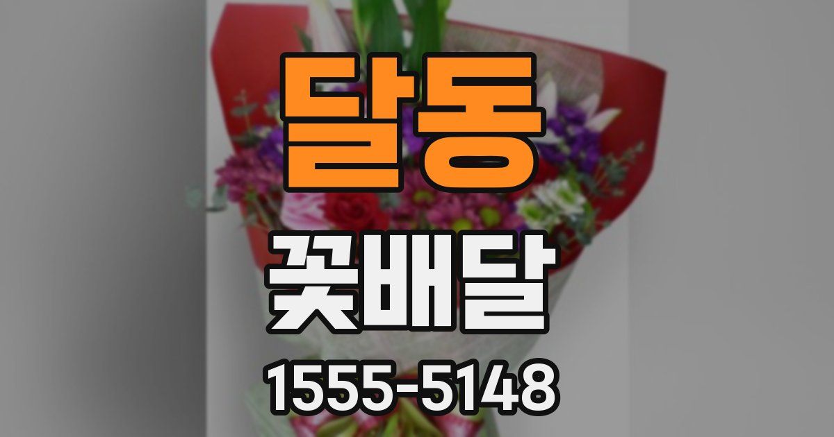 달동 꽃배달