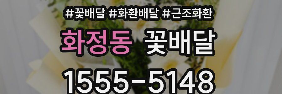 화정동 꽃배달