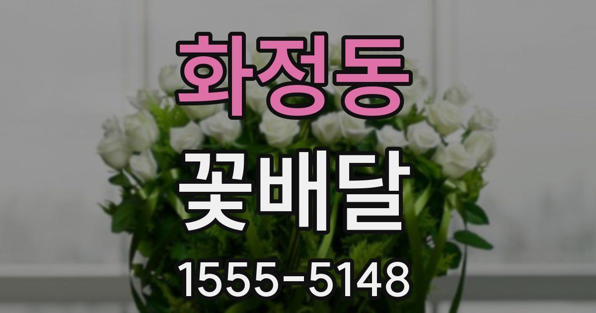 화정동 꽃배달