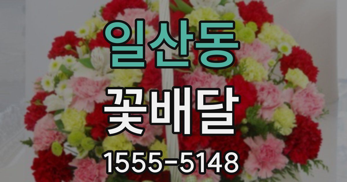 일산동 꽃배달