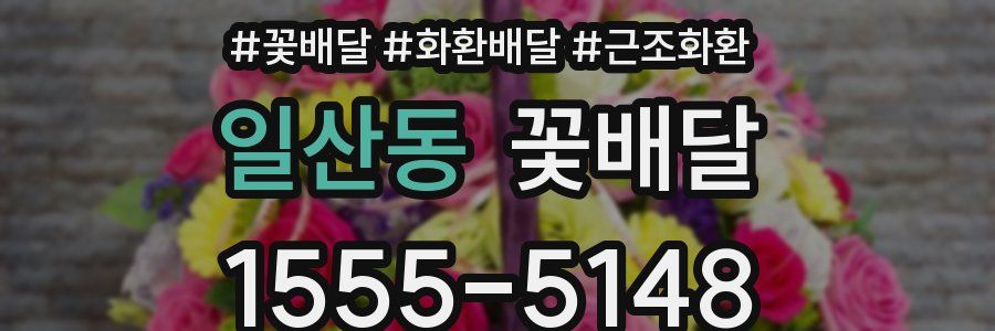 일산동 꽃배달