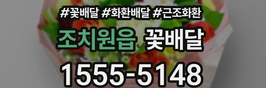 조치원읍 꽃배달