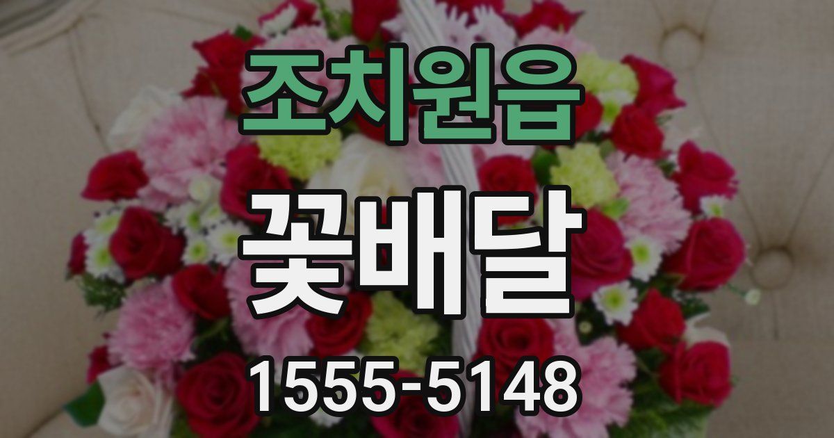 조치원읍 꽃배달