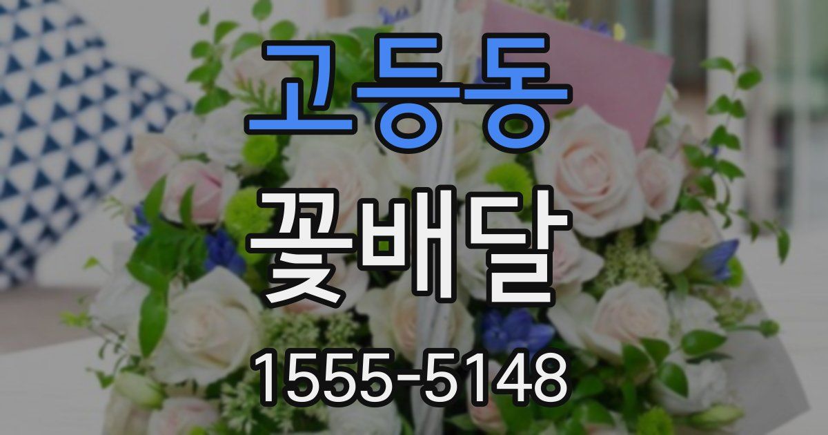 고등동 꽃배달
