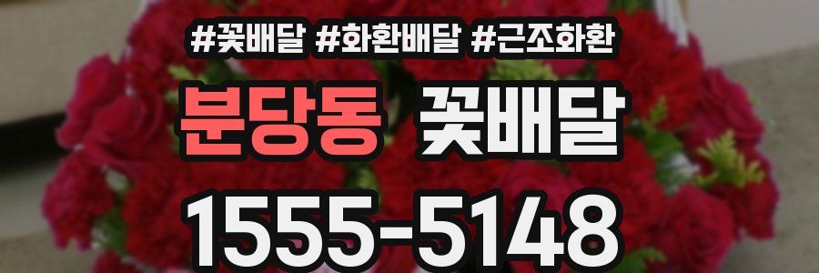 분당동 꽃배달