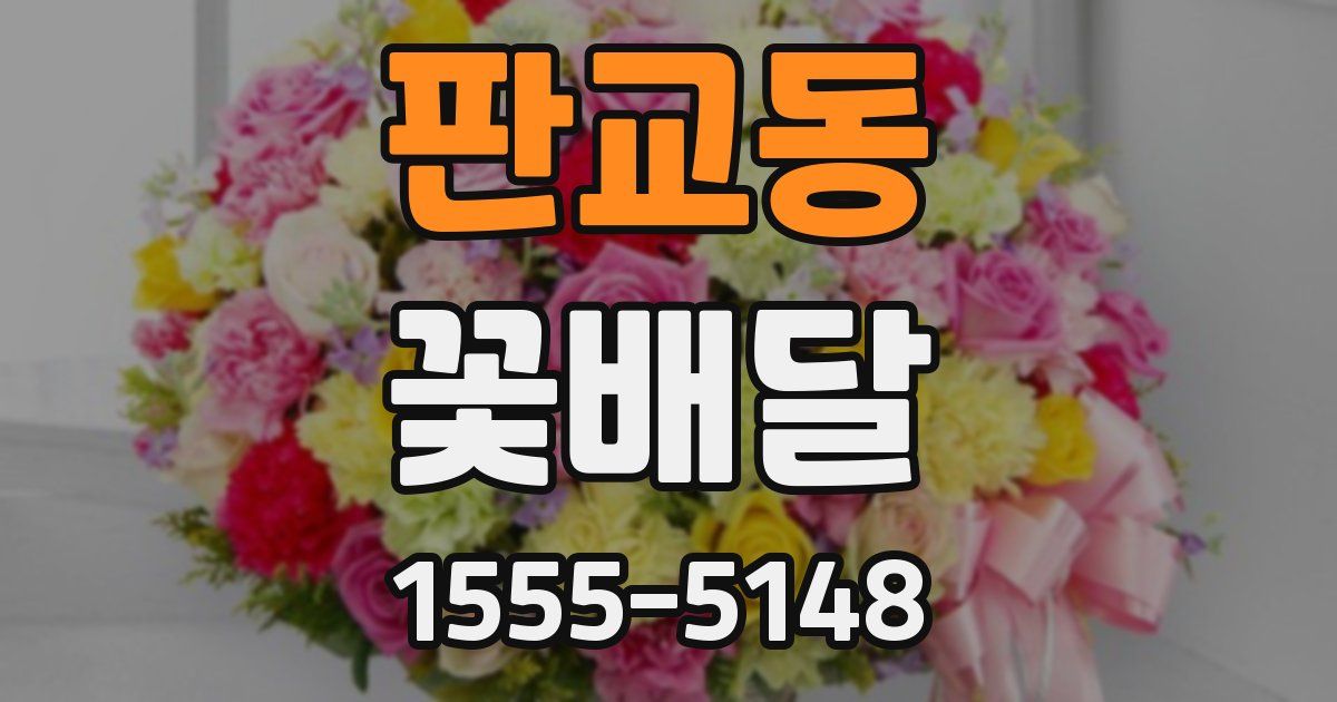 판교동 꽃배달