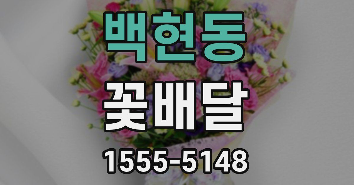 백현동 꽃배달