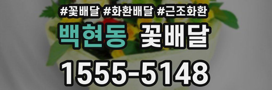 백현동 꽃배달