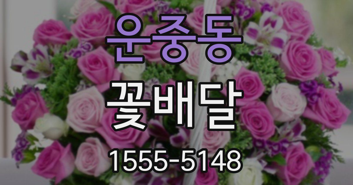 운중동 꽃배달