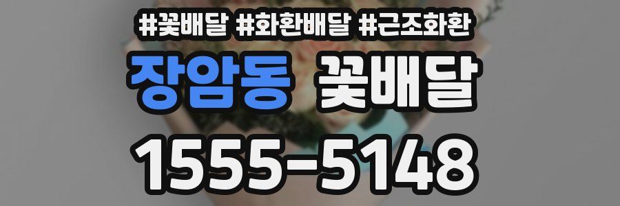 장암동 꽃배달
