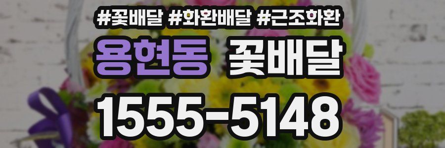 용현동 꽃배달