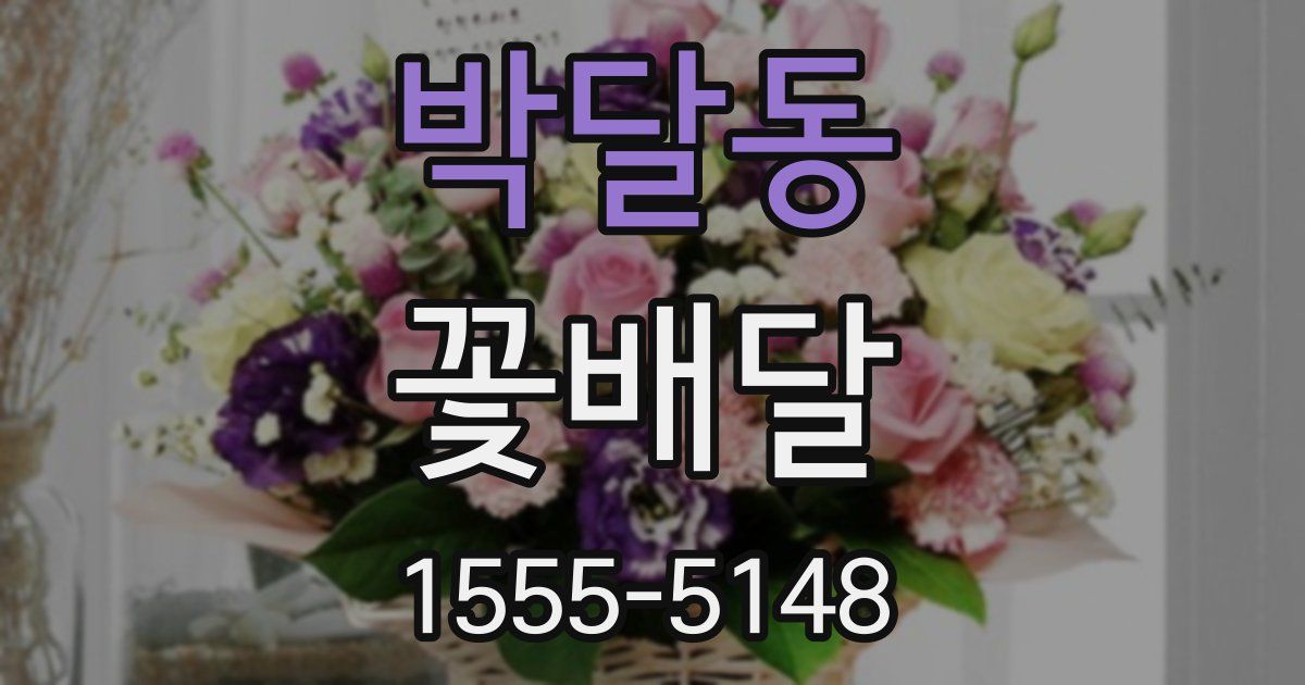 박달동 꽃배달
