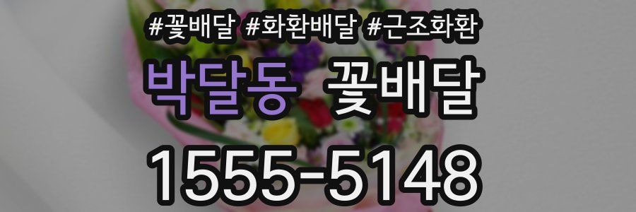 박달동 꽃배달