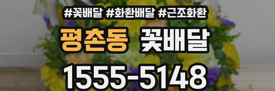 평촌동 꽃배달