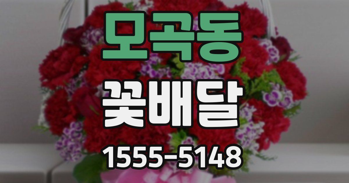 모곡동 꽃배달