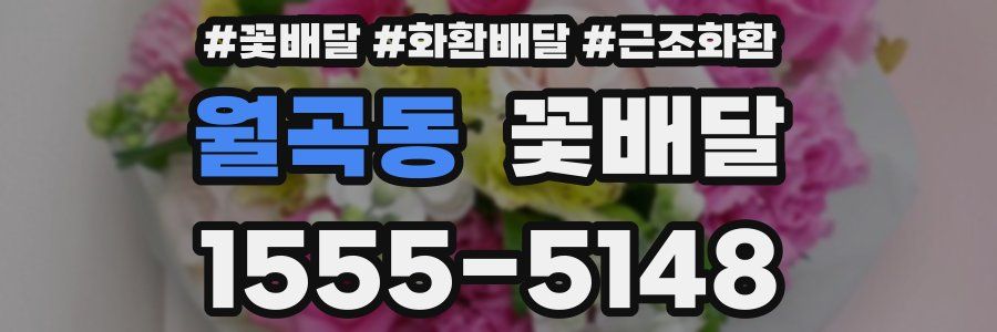 월곡동 꽃배달
