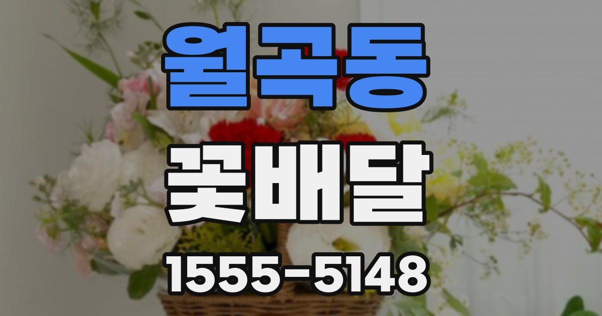 월곡동 꽃배달